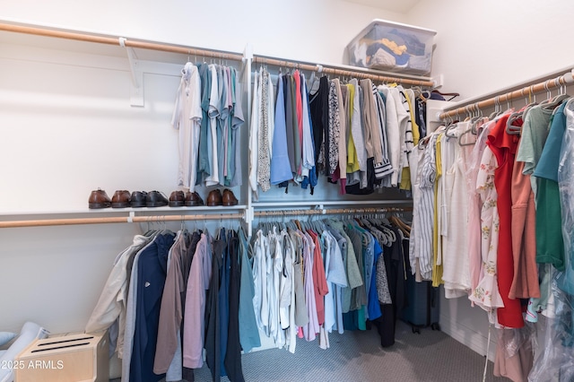 spacious closet featuring carpet