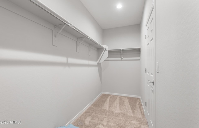 spacious closet with carpet