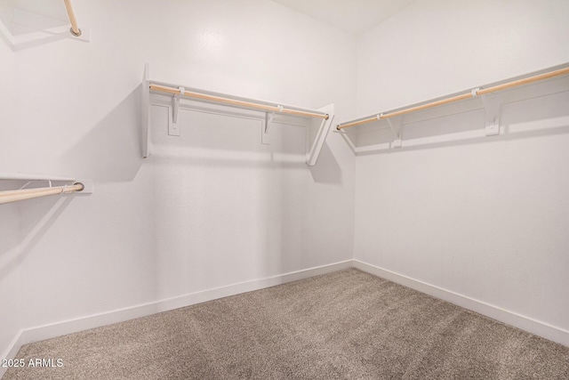 walk in closet featuring carpet floors