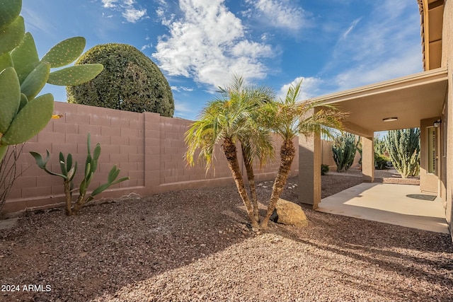 view of yard with a patio area