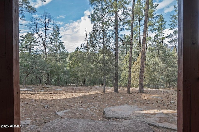 2974 N Vista Way, Payson, AZ 85541 - view of nature