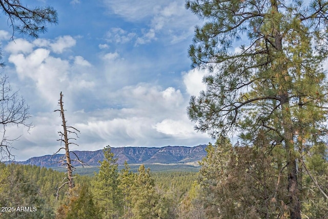 2974 N Vista Way, Payson, AZ 85541 - view of mountain backdrop with a forest