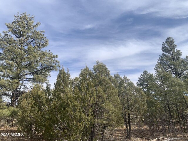 7785 W Mogollon Trl Unit 161, Happy Jack, AZ 86024