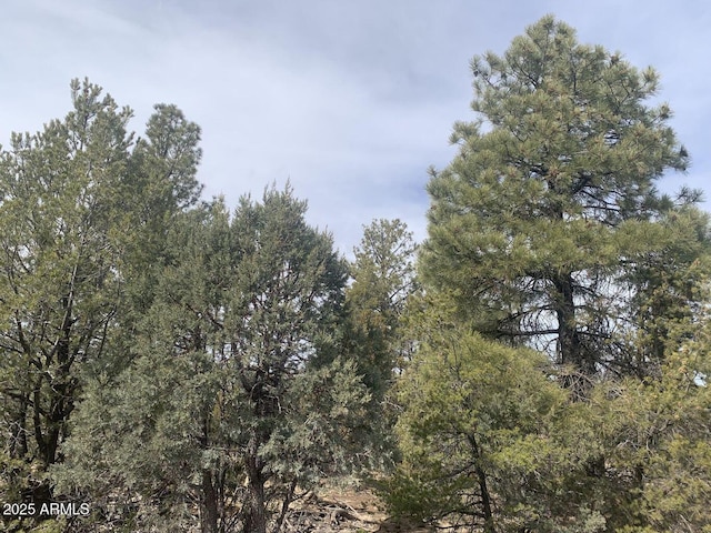 7785 W Mogollon Trl Unit 161, Happy Jack, AZ 86024