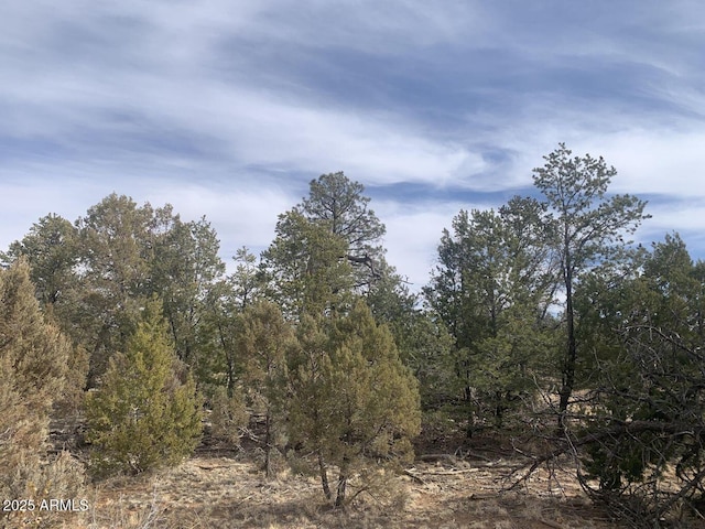 7785 W Mogollon Trl Unit 161, Happy Jack, AZ 86024