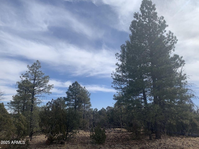 7785 W Mogollon Trl Unit 161, Happy Jack, AZ 86024