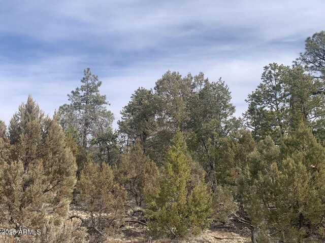 7785 W Mogollon Trl Unit 161, Happy Jack, AZ 86024