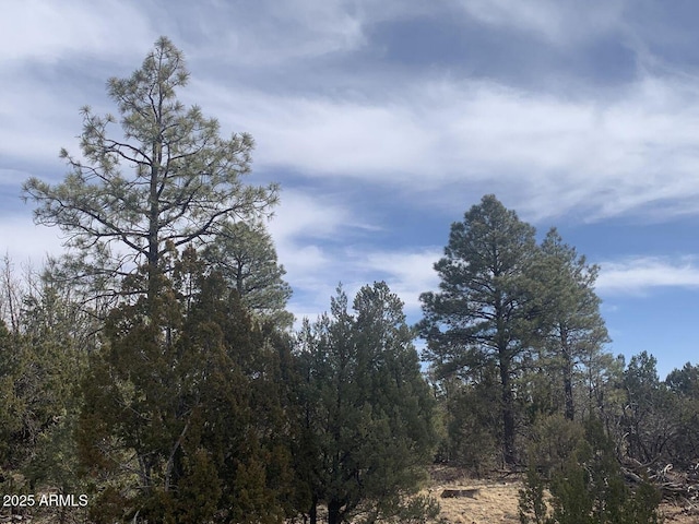 7785 W Mogollon Trl Unit 161, Happy Jack, AZ 86024