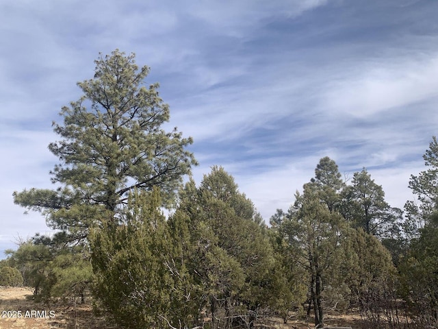 7785 W Mogollon Trl Unit 161, Happy Jack, AZ 86024