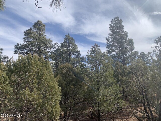7785 W Mogollon Trl Unit 161, Happy Jack, AZ 86024