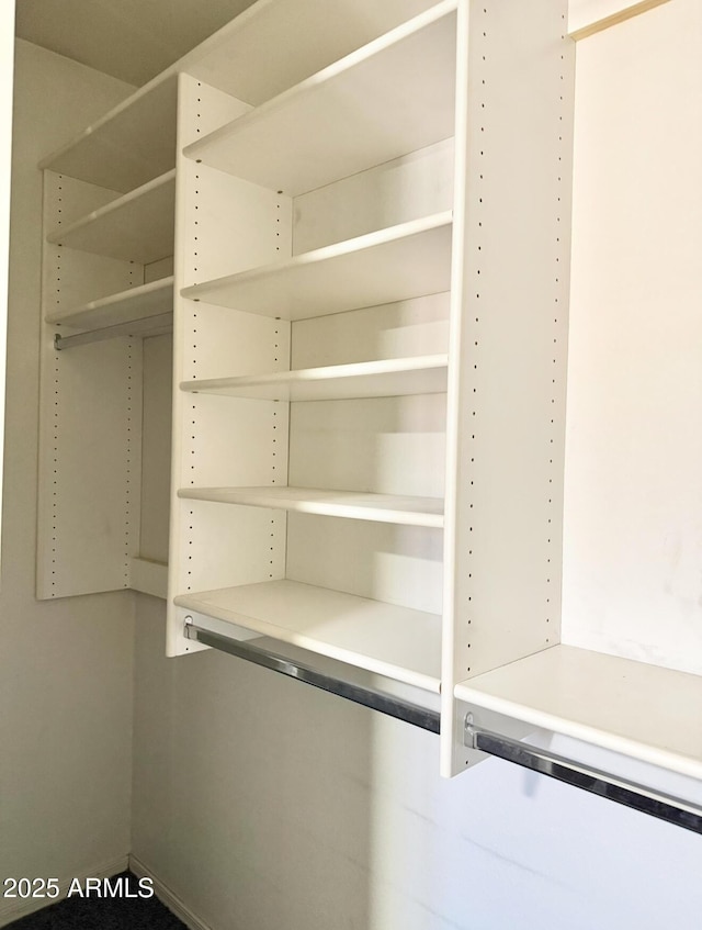 view of walk in closet