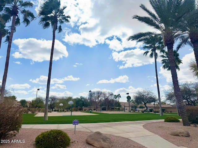 view of community with a yard