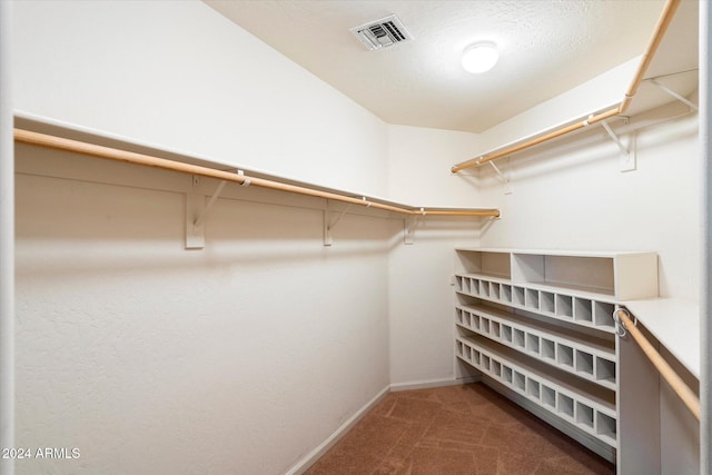 spacious closet with carpet