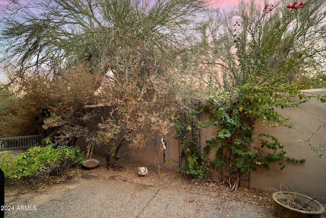 view of yard at dusk