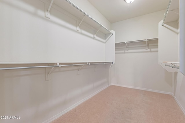 walk in closet with carpet