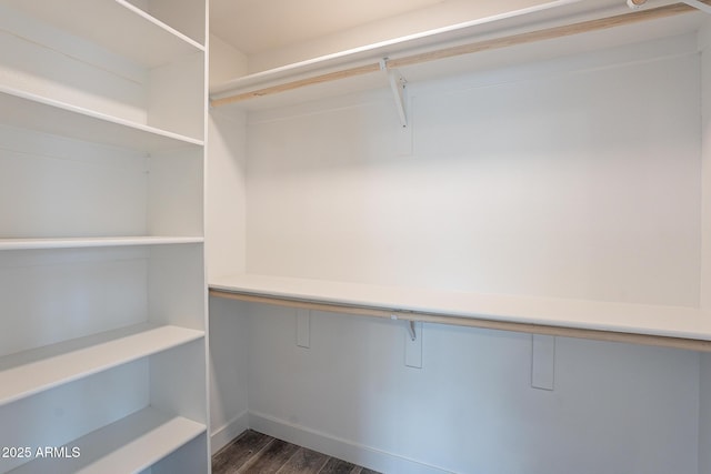 walk in closet with dark wood-type flooring