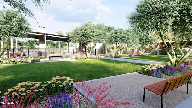 8128 E Paloma Ave, Mesa, AZ 85212 - view of yard