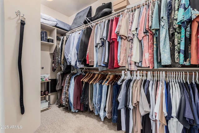 walk in closet with carpet flooring