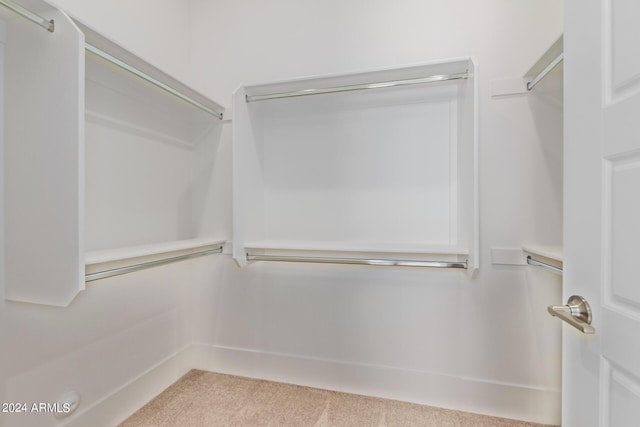 1229 N 106th Pl, Mesa, AZ 85207 - walk in closet with carpet flooring