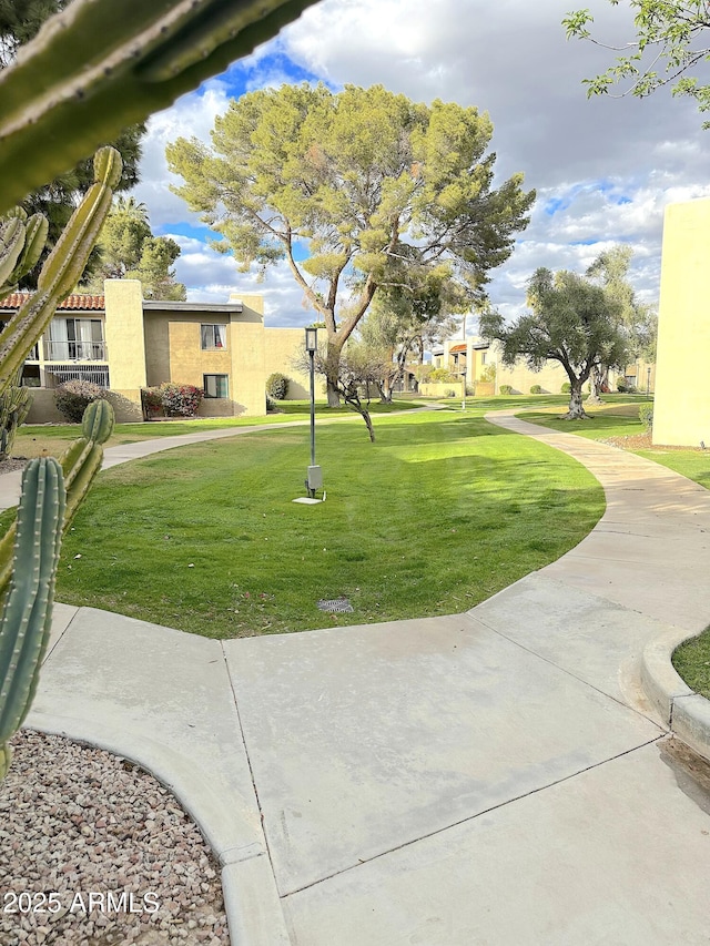 4201 E Camelback Rd Unit 51, Phoenix, AZ 85018 - view of grassy yard