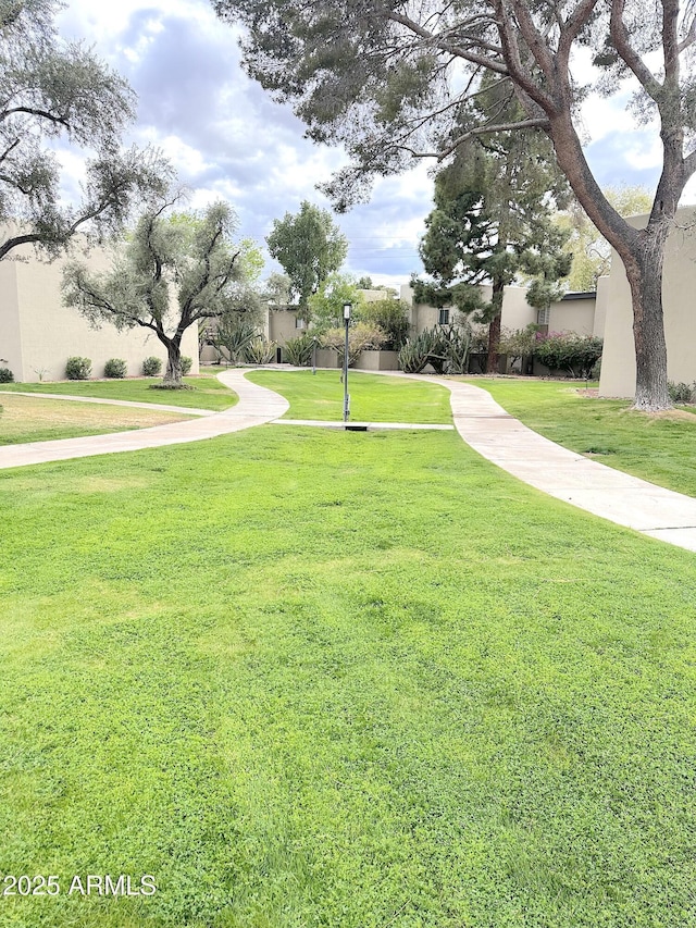 4201 E Camelback Rd Unit 51, Phoenix, AZ 85018 - view of home's community featuring a yard