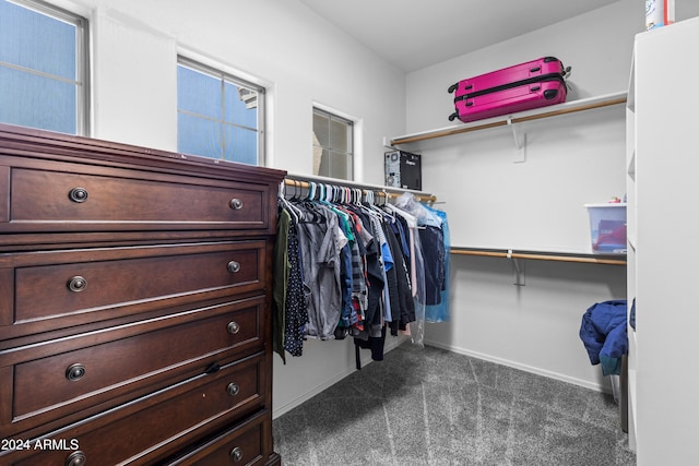 walk in closet with dark carpet