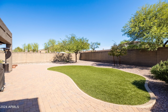 view of yard featuring a patio area