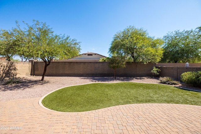 view of yard with a patio area