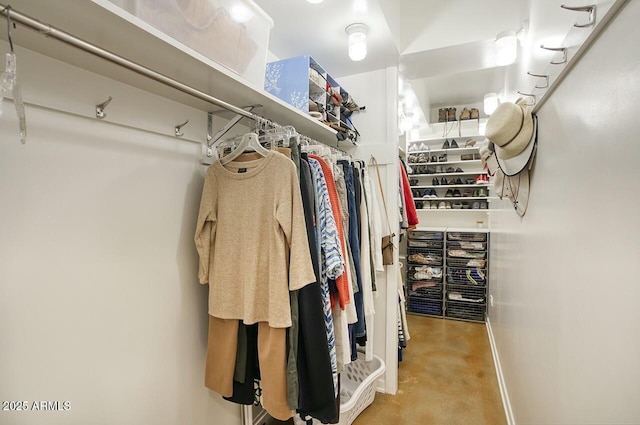 view of spacious closet