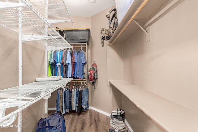 2945 E Clifton Ave, Gilbert, AZ 85295 - walk in closet featuring wood finished floors