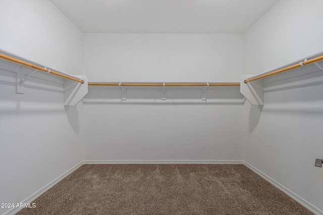 walk in closet with carpet floors