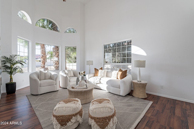 living room featuring a towering ceiling, dark hardwood / wood-style floors, and a healthy amount of sunlight