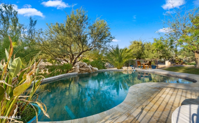 view of swimming pool featuring a patio area