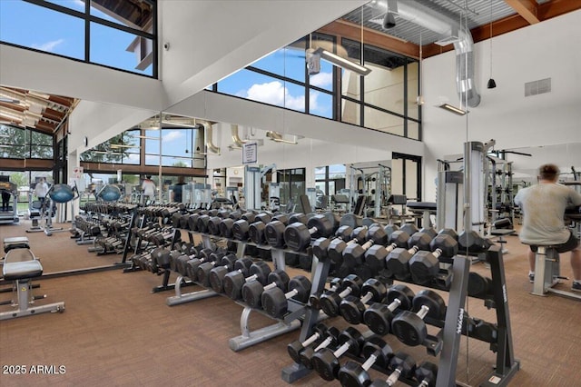 exercise room featuring visible vents, a towering ceiling, and carpet floors