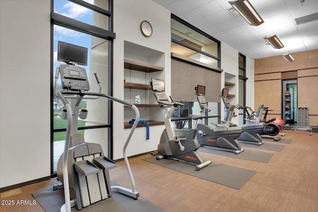 workout area featuring visible vents, a healthy amount of sunlight, baseboards, and carpet floors