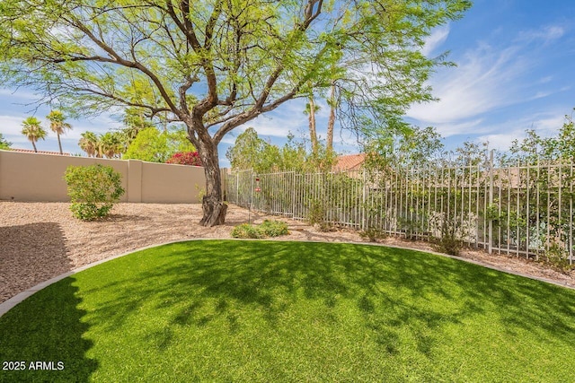 15746 E Sycamore Dr, Fountain Hills, AZ 85268 - view of yard featuring a fenced backyard