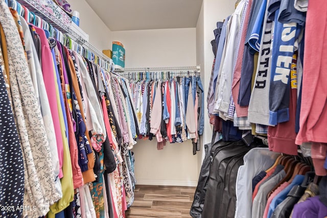 spacious closet featuring hardwood / wood-style floors