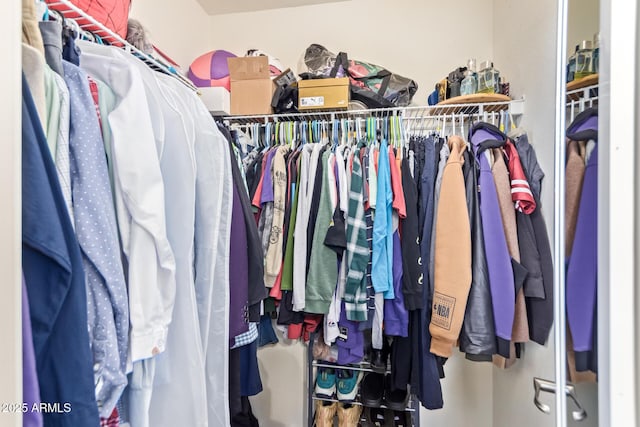 view of walk in closet