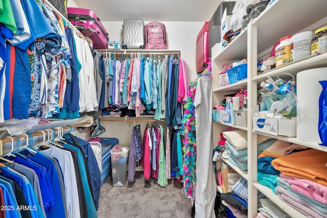 walk in closet with light colored carpet