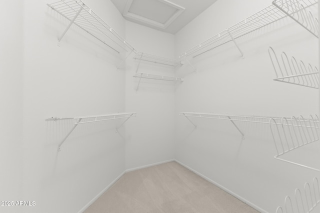 walk in closet with carpet