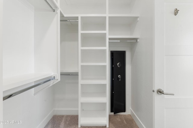 spacious closet featuring carpet flooring