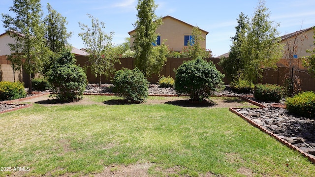 1309 W Park St, Phoenix, AZ 85041 - view of fenced backyard