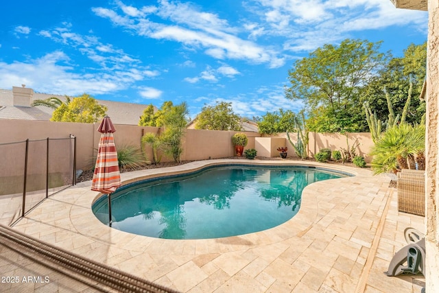 view of pool with a patio area