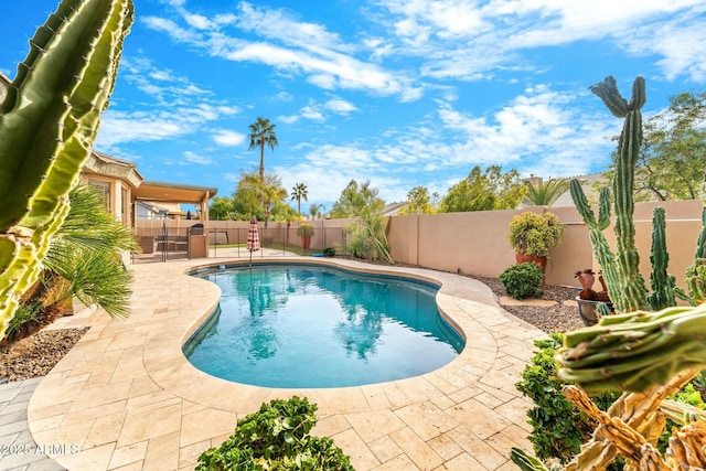 view of pool with a patio area