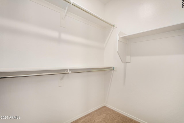 2631 S Sulley Dr Unit 104, Gilbert, AZ 85295 - spacious closet with carpet