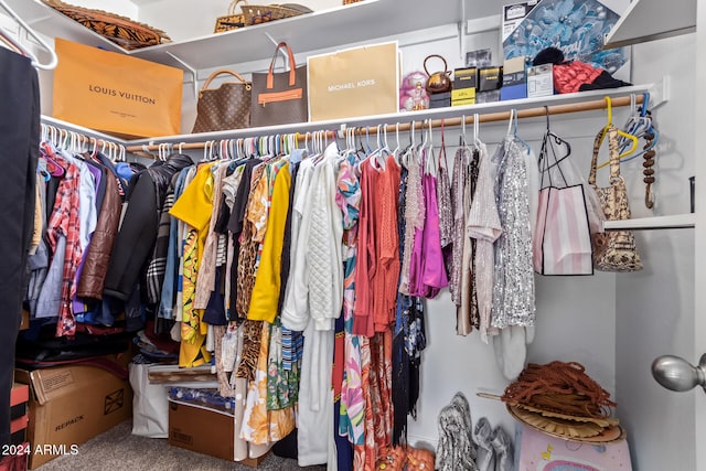 walk in closet featuring carpet floors