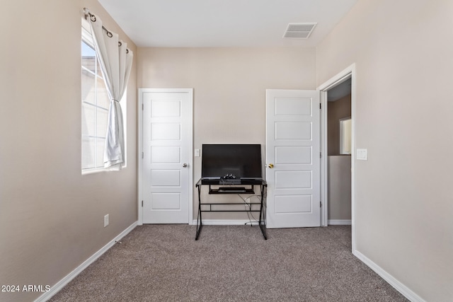 bedroom featuring carpet flooring