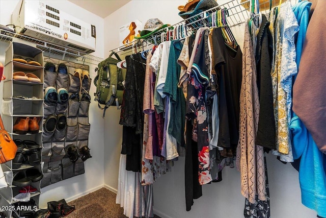 1057 E Silversmith Trl, San Tan Valley, AZ 85143 - walk in closet featuring carpet