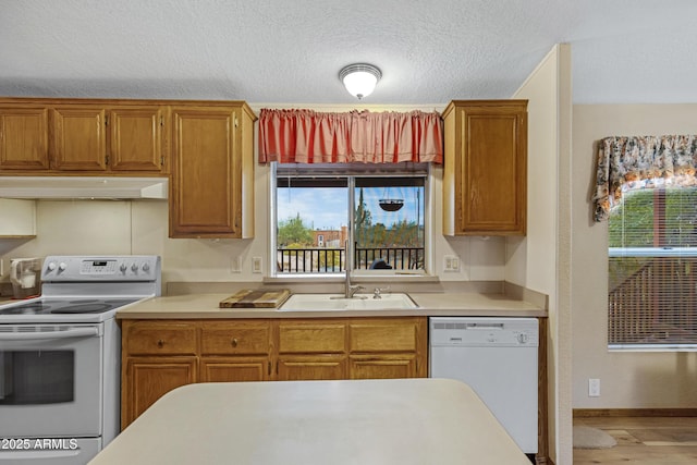 kitchen with a textured ceiling, under cabinet range hood, white appliances, a sink, and light countertops