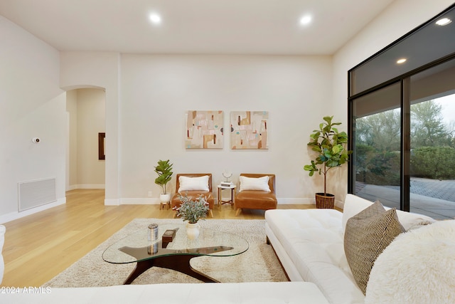 living room with light hardwood / wood-style flooring